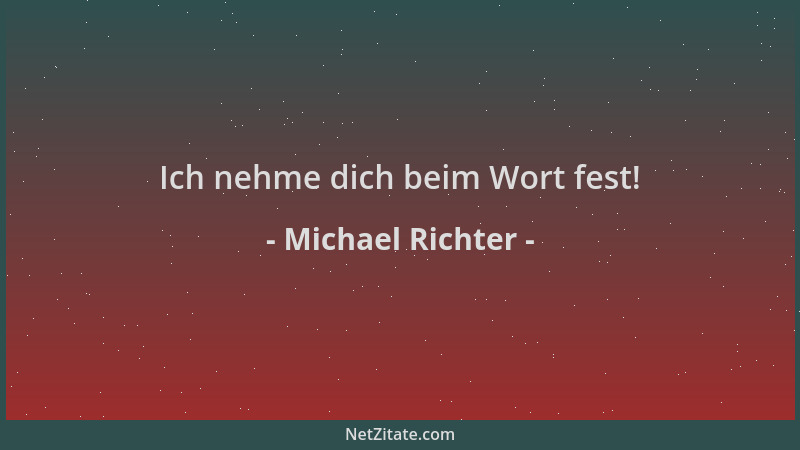Michael Richter - Ich nehme dich beim Wort fest!...