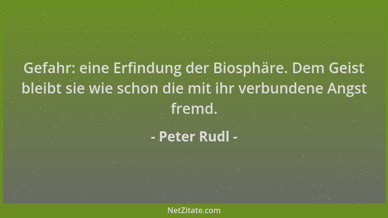 Peter Rudl - Gefahr: eine Erfindung der Biosphäre. Dem Geist bleibt sie wie schon die mit ihr verbundene Angst fremd....