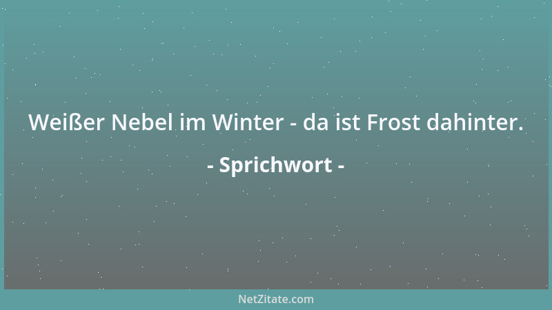 Sprichwort - Weißer Nebel im Winter - da ist Frost dahinter....