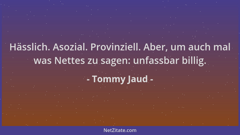 Tommy Jaud - Hässlich. Asozial. Provinziell. Aber, um auch mal was Nettes zu sagen: unfassbar billig....