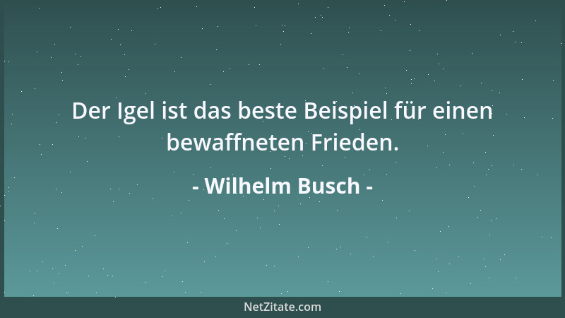 Wilhelm Busch - Seine Liebe war ewig. Als seine Frau starb, nahm er sich eine andere....