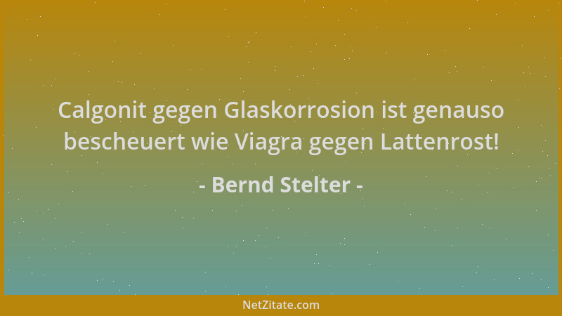 Bernd Stelter - Calgonit gegen Glaskorrosion ist genauso bescheuert wie Viagra gegen Lattenrost!...