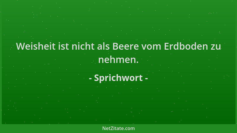 Sprichwort - Weisheit ist nicht als Beere vom Erdboden zu nehmen....