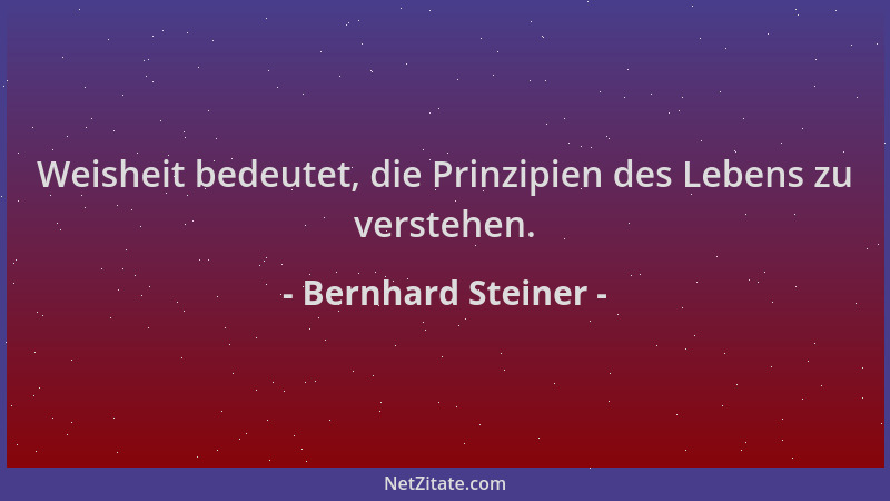 Bernhard Steiner - Weisheit bedeutet, die Prinzipien des Lebens zu verstehen....