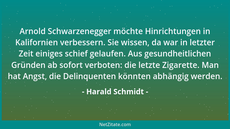Harald Schmidt - Arnold Schwarzenegger möchte Hinrichtungen in Kalifornien verbessern. Sie wissen, da war in letzter Zeit e...