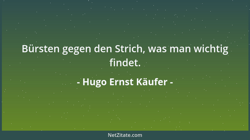 Hugo Ernst Käufer - Bürsten gegen den Strich, was man wichtig findet....