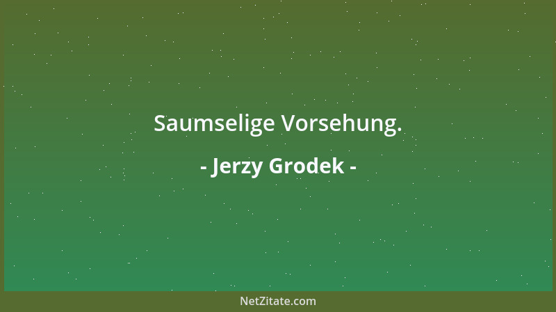 Jerzy Grodek - Saumselige Vorsehung....