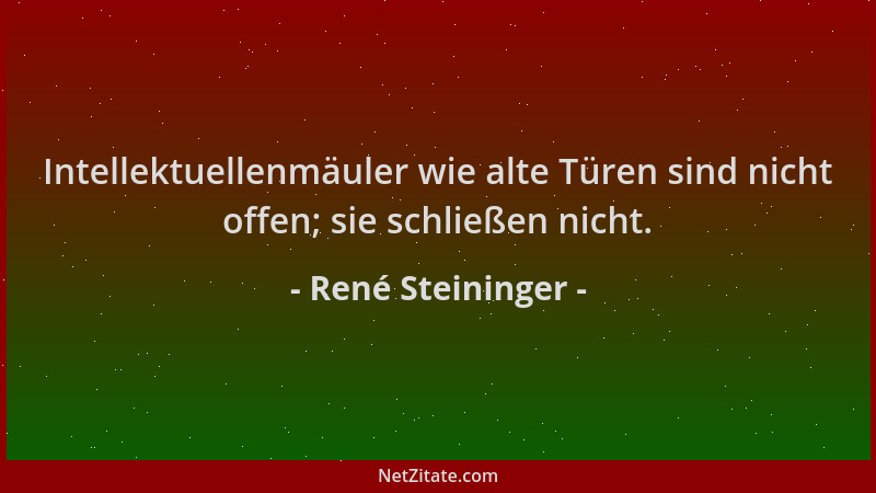 René Steininger - Intellektuellenmäuler wie alte Türen sind nicht offen; sie schließen nicht....