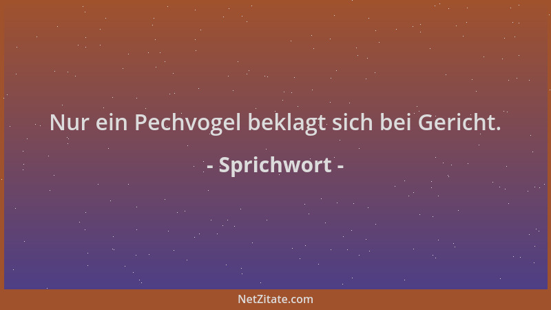 Sprichwort - Nur ein Pechvogel beklagt sich bei Gericht....