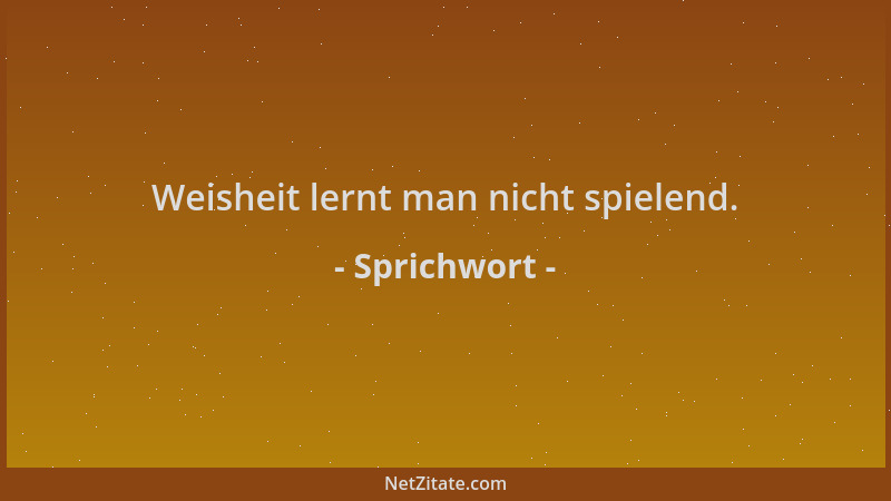 Sprichwort - Weisheit lernt man nicht spielend....