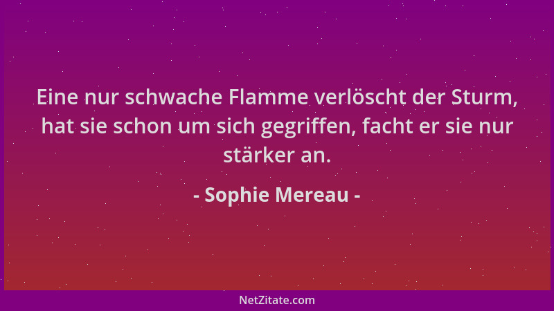 Sophie Mereau - Eine nur schwache Flamme verlöscht der Sturm, hat sie schon um sich gegriffen, facht er sie nur stärker an....