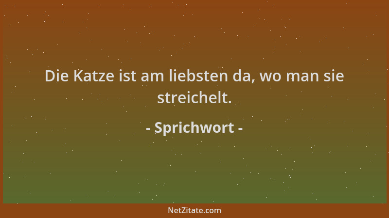 Sprichwort - Die Katze ist am liebsten da, wo man sie streichelt....