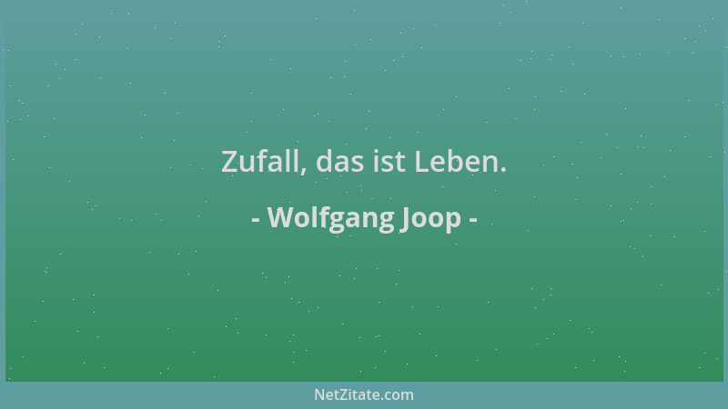 Wolfgang Joop - Zufall, das ist Leben....