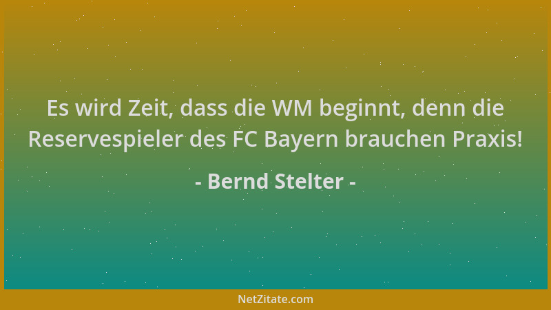 Bernd Stelter - Es wird Zeit, dass die WM beginnt, denn die Reservespieler des FC Bayern brauchen Praxis!...