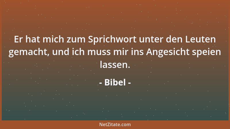 Bibel - Er hat mich zum Sprichwort unter den Leuten gemacht, und ich muss mir ins Angesicht speien lassen....