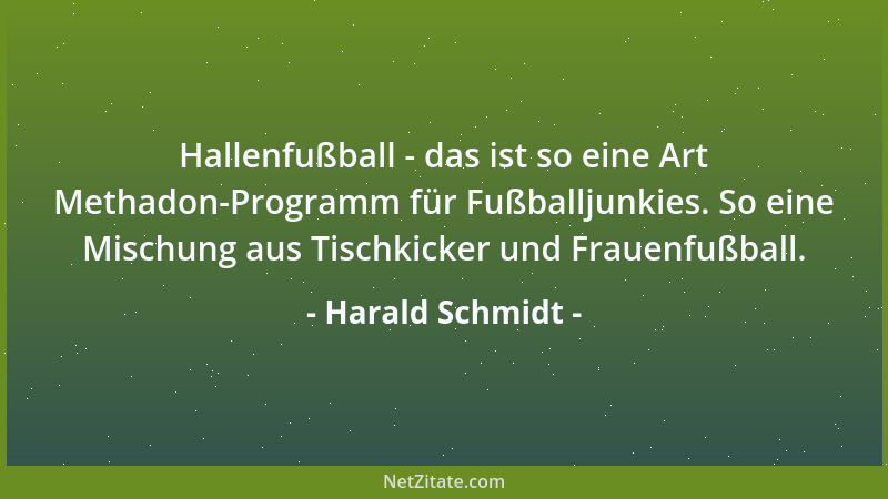 Harald Schmidt - Hallenfußball - das ist so eine Art Methadon-Programm für Fußballjunkies. So eine Mischung aus Tischkicker...