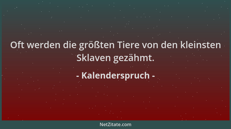 Kalenderspruch - Oft werden die größten Tiere von den kleinsten Sklaven gezähmt....