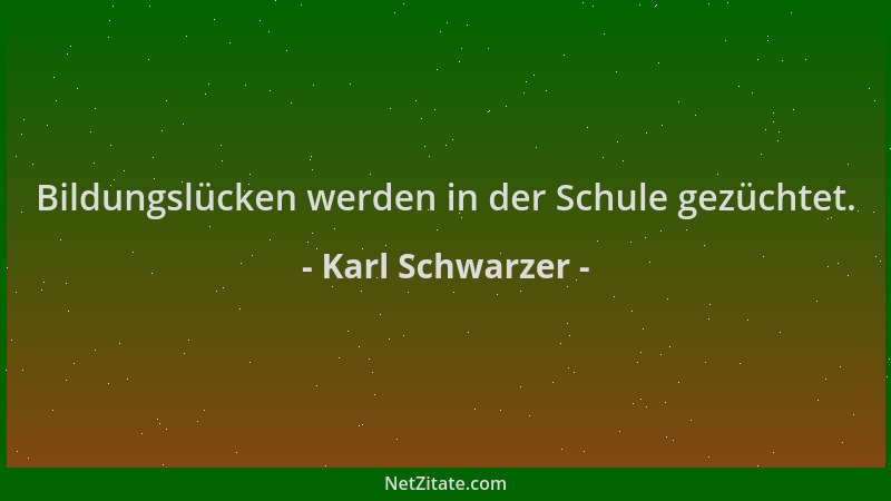 Karl Schwarzer - Bildungslücken werden in der Schule gezüchtet....