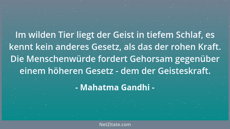 Mahatma Gandhi - Im wilden Tier liegt der Geist in tiefem Schlaf, es kennt kein anderes Gesetz, als das der rohen Kraft. Di...