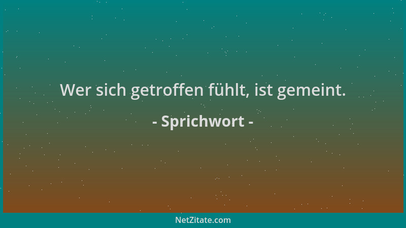 Sprichwort - Wer sich getroffen fühlt, ist gemeint....