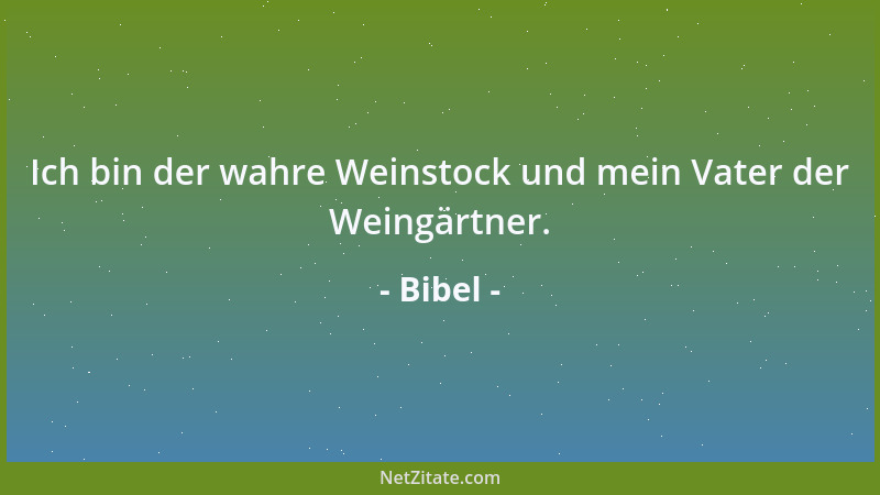 Bibel - Ich bin der wahre Weinstock und mein Vater der Weingärtner....