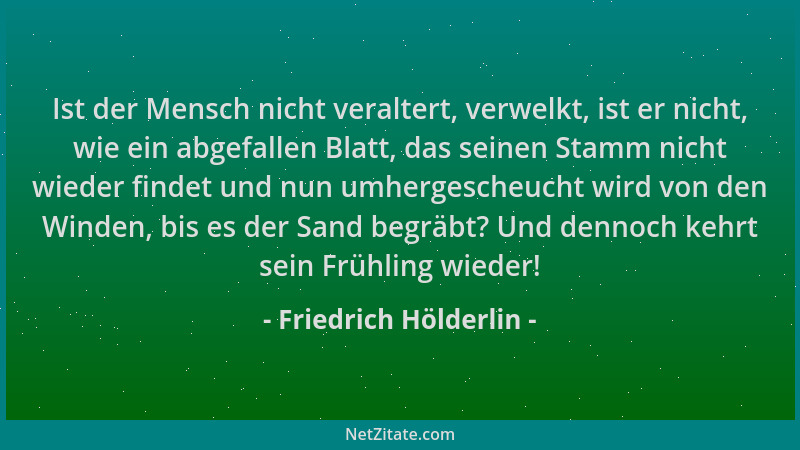 Friedrich Hölderlin - Ist der Mensch nicht veraltert, verwelkt, ist er nicht, wie ein abgefallen Blatt, das seinen Stamm ni...