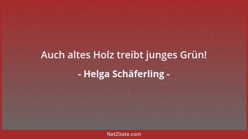 Helga Schäferling - Auch altes Holz treibt junges Grün!...