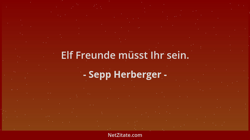 Sepp Herberger - Elf Freunde müsst Ihr sein....