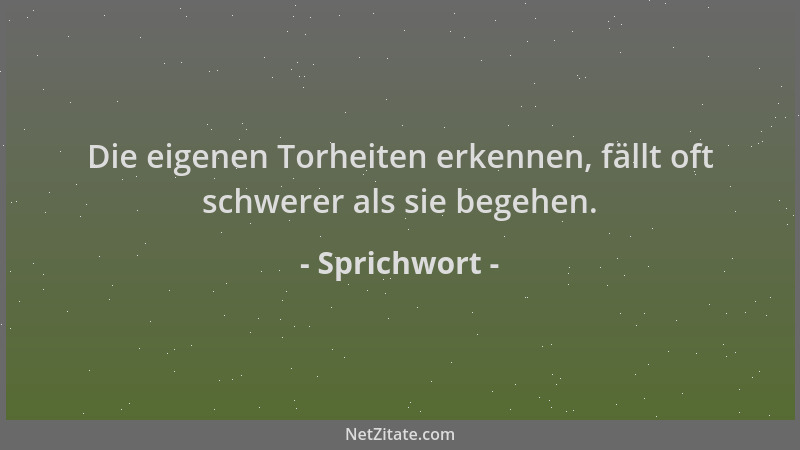 Sprichwort - Die eigenen Torheiten erkennen, fällt oft schwerer als sie begehen....