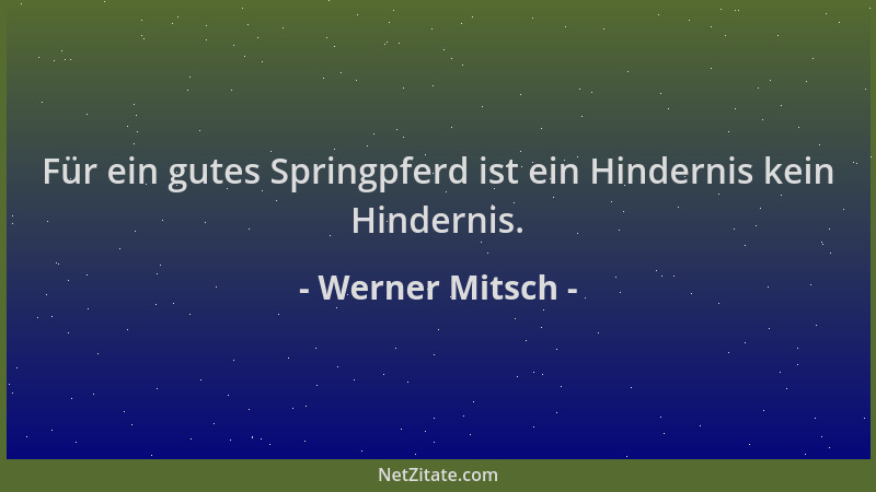 Werner Mitsch - Für ein gutes Springpferd ist ein Hindernis kein Hindernis....