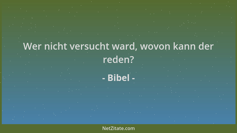 Bibel - Wer nicht versucht ward, wovon kann der reden?...