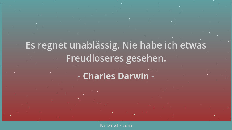 Charles Darwin - Es regnet unablässig. Nie habe ich etwas Freudloseres gesehen....