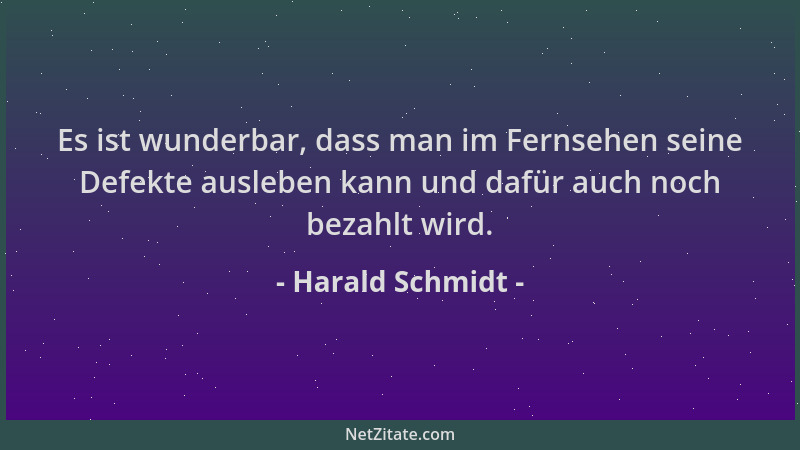 Harald Schmidt - Es ist wunderbar, dass man im Fernsehen seine Defekte ausleben kann und dafür auch noch bezahlt wird....