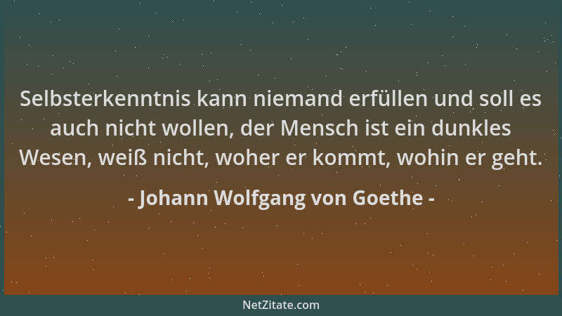 Johann Wolfgang von Goethe - Selbsterkenntnis kann niemand erfüllen und soll es auch nicht wollen, der Mensch ist ein dunkl...