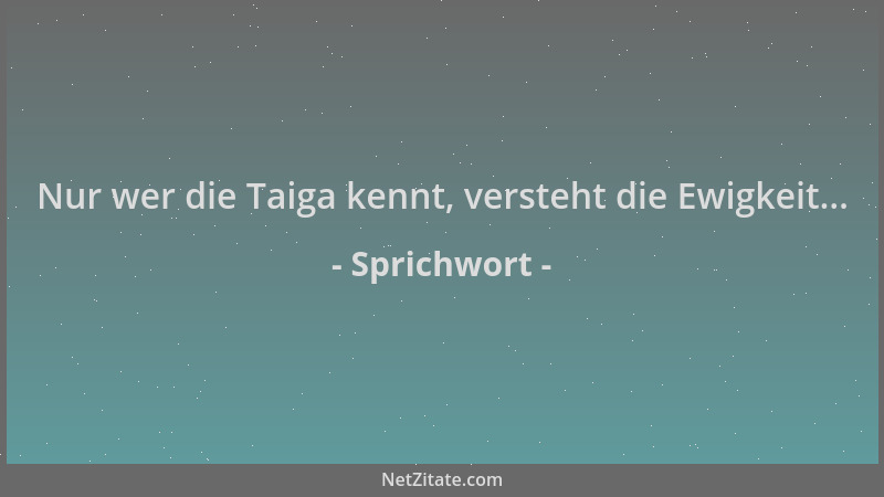 Sprichwort - Nur wer die Taiga kennt, versteht die Ewigkeit......