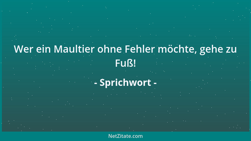 Sprichwort - Wer ein Maultier ohne Fehler möchte, gehe zu Fuß!...