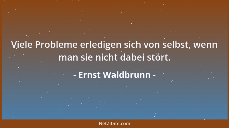 Ernst Waldbrunn - Viele Probleme erledigen sich von selbst, wenn man sie nicht dabei stört....