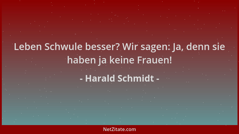 Harald Schmidt - Leben Schwule besser? Wir sagen: Ja, denn sie haben ja keine Frauen!...