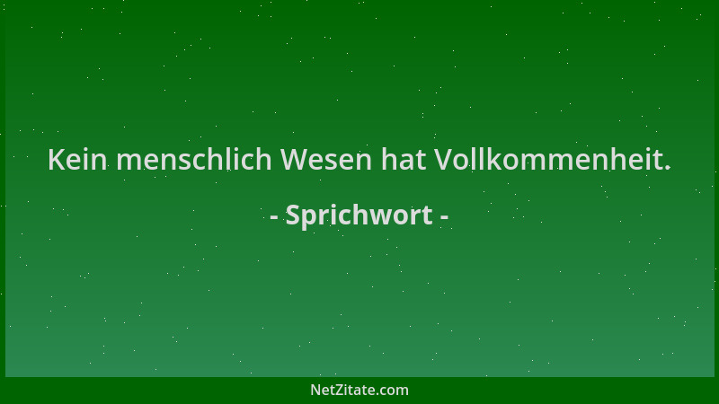 Sprichwort - Kein menschlich Wesen hat Vollkommenheit....