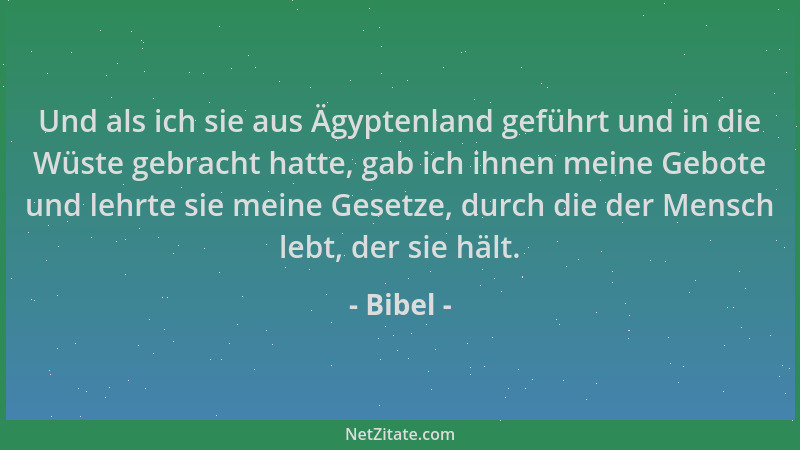 Bibel - Und als ich sie aus Ägyptenland geführt und in die Wüste gebracht hatte, gab ich ihnen meine Gebote und lehrte sie...