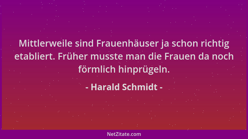 Harald Schmidt - Mittlerweile sind Frauenhäuser ja schon richtig etabliert. Früher musste man die Frauen da noch förmlich h...