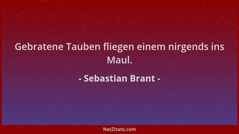 Sebastian Brant - Gebratene Tauben fliegen einem nirgends ins Maul....