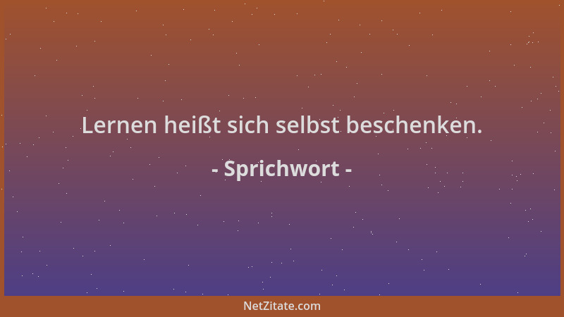Sprichwort - Lernen heißt sich selbst beschenken....