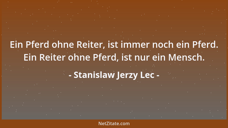 Stanislaw Jerzy Lec - Ein Pferd ohne Reiter, ist immer noch ein Pferd. Ein Reiter ohne Pferd, ist nur ein Mensch....
