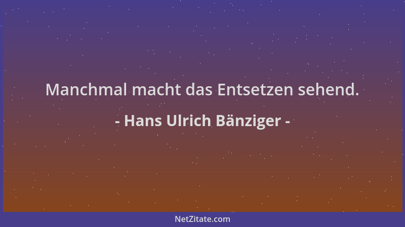 Hans Ulrich Bänziger - Manchmal macht das Entsetzen sehend....