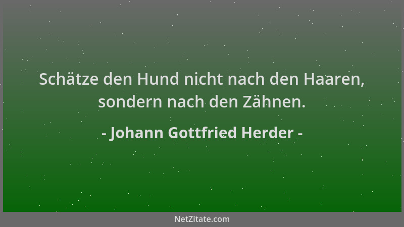 Johann Gottfried Herder - Schätze den Hund nicht nach den Haaren, sondern nach den Zähnen....