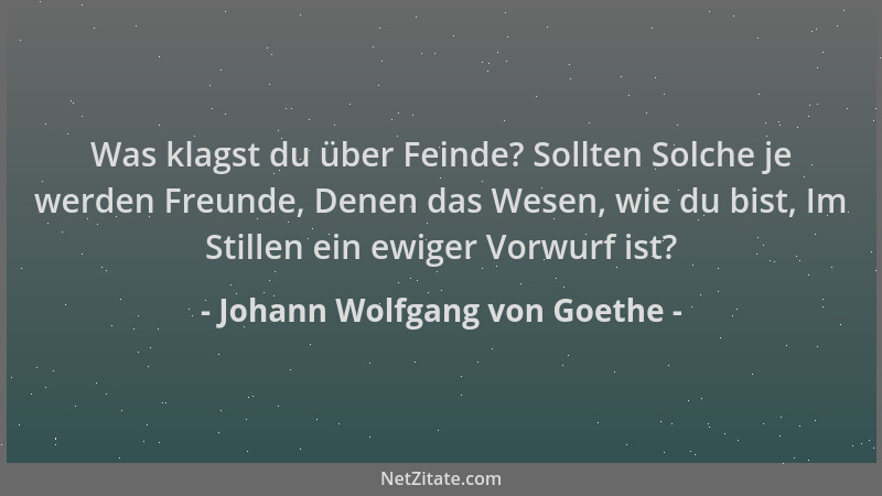 Johann Wolfgang von Goethe - Was klagst du über Feinde? Sollten Solche je werden Freunde, Denen das Wesen, wie du bist, Im...
