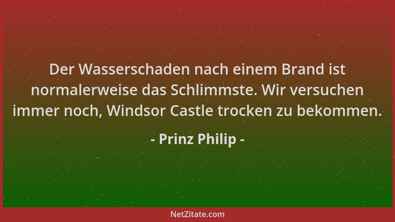 Prinz Philip - Der Wasserschaden nach einem Brand ist normalerweise das Schlimmste. Wir versuchen immer noch, Windsor Castl...