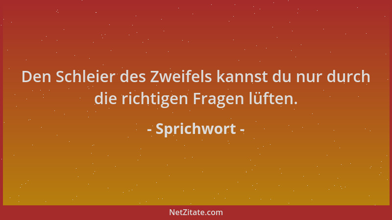 Sprichwort - Den Schleier des Zweifels kannst du nur durch die richtigen Fragen lüften....