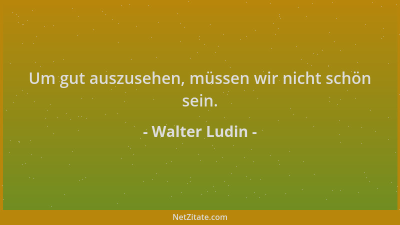 Walter Ludin - Um gut auszusehen, müssen wir nicht schön sein....